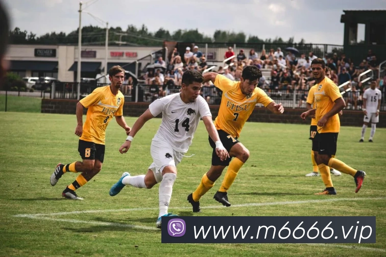 米乐m6APP 高清赛事图